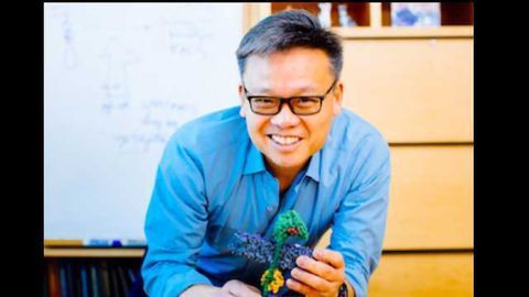 Engineering Immune Cells to Treat Cancer