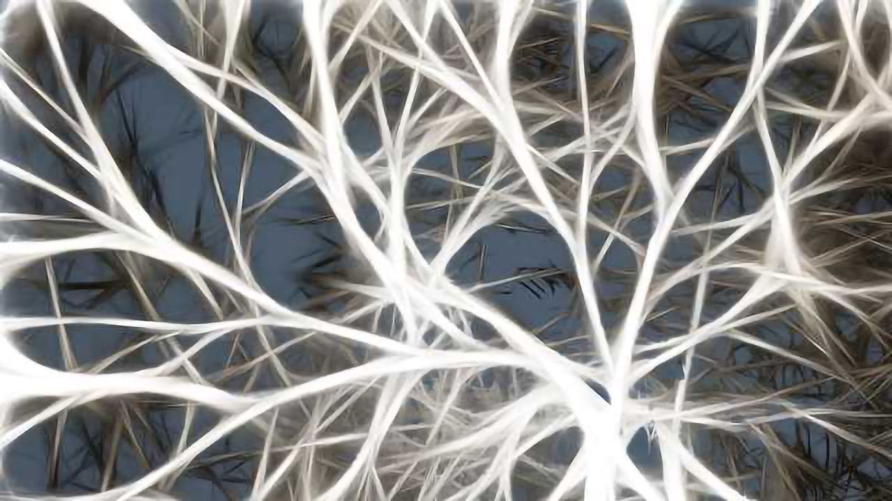 Academic Drug Discovery: New Compound To Treat ALS