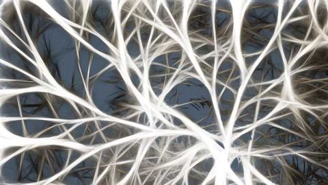 Academic Drug Discovery: New Compound To Treat ALS