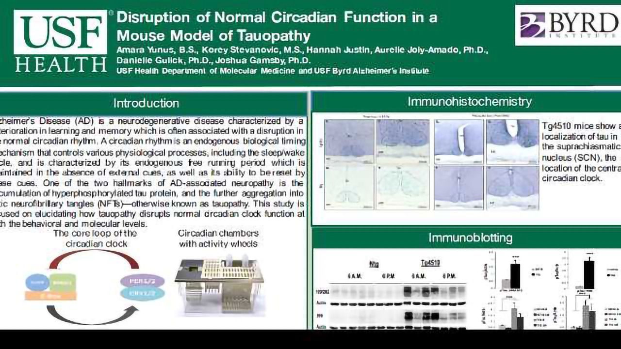 Disruption of Normal Circadian Function in a Mouse Model of Tauopathy