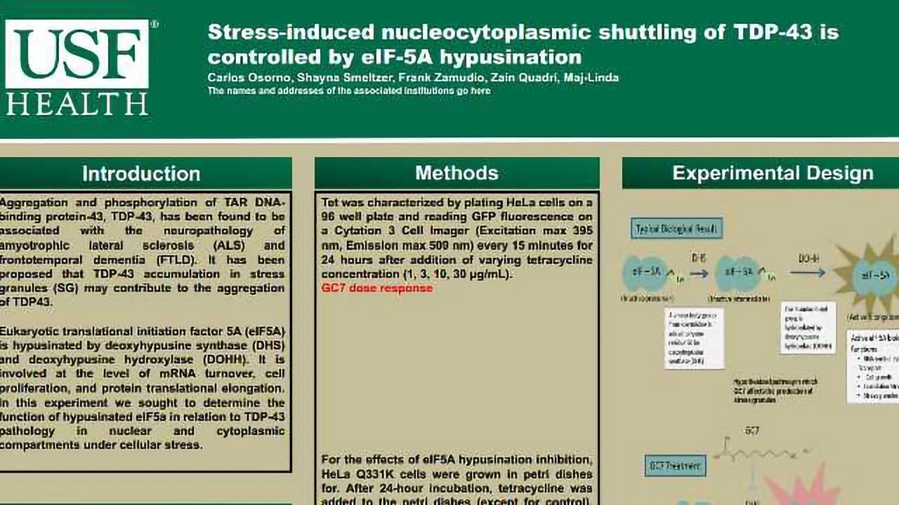 Stress-induced nucleocytoplasmic shuttling of TDP-43 is controlled by eIF-5A hypusination