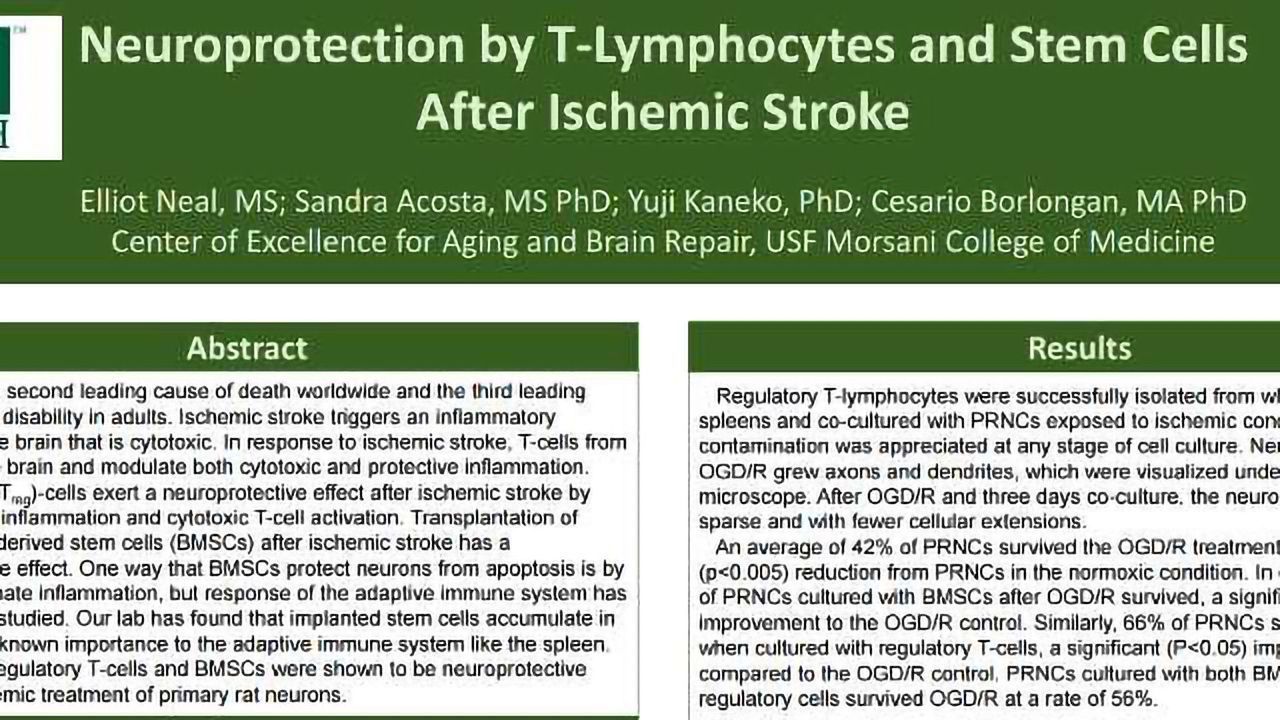 Neuroprotection by T-Lymphocytes and Stem Cells After Ischemic Stroke
