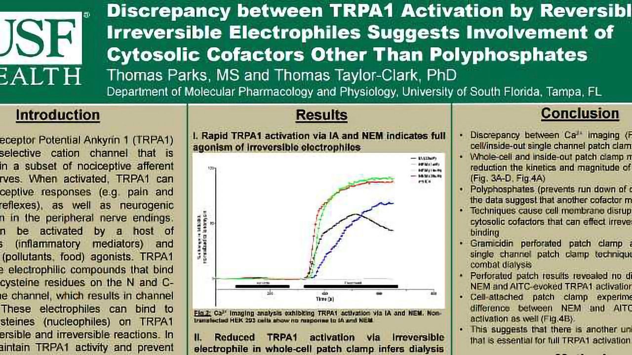 Discrepancy between TRPA1 Activation by Reversible and Irreversible Electrophiles Suggests Involvement of Cytosolic Cofactors Other Than Polyphosphates