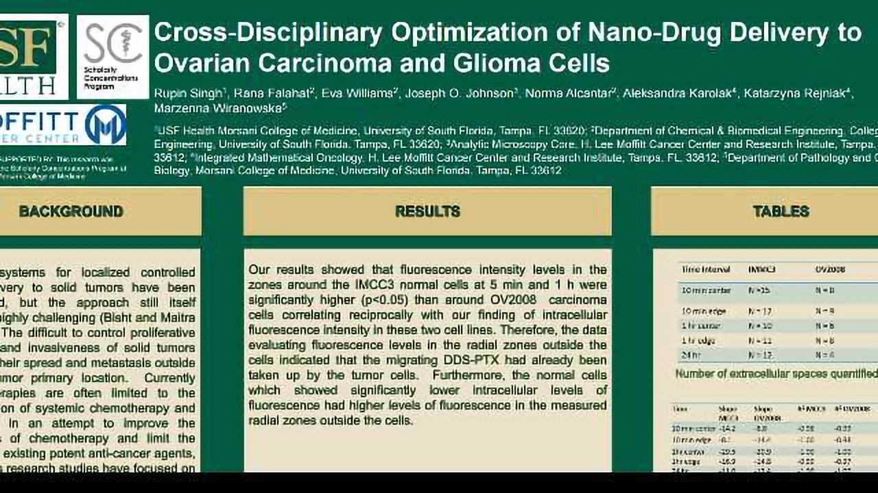Cross-disciplinary Optimization of Nano-Drug Delivery to Ovarian Carcinoma and Glioma Cells