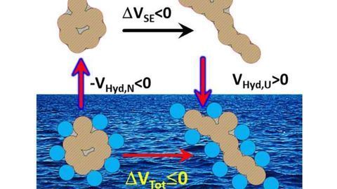 50 Year-Old Protein Volume Paradox Resolved