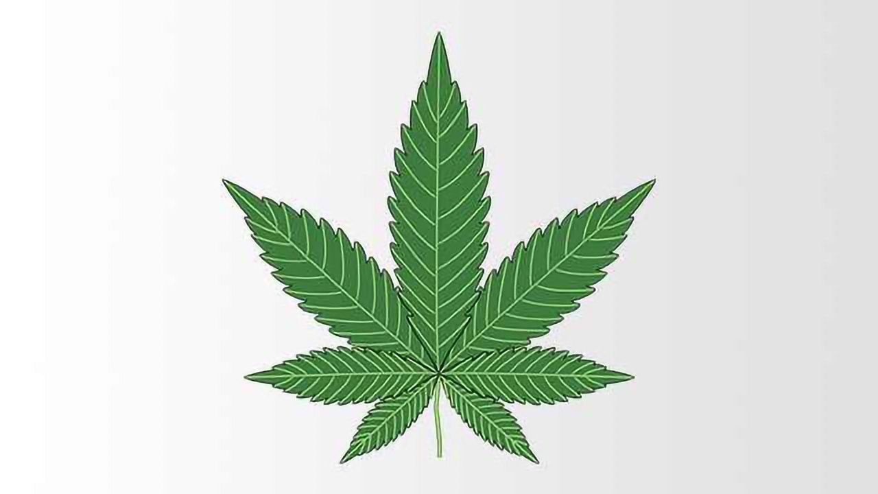 New Tests Help Detect Drivers Impaired by Marijuana Consumption