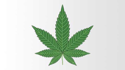 New Tests Help Detect Drivers Impaired by Marijuana Consumption