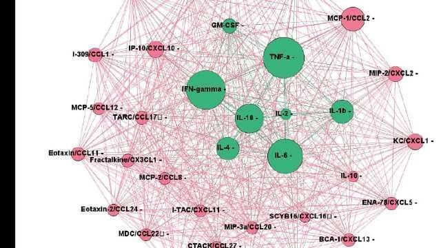 老鼠从Bio-Rad趋化因子面板,Bio-Plex Pro™内容块的形象