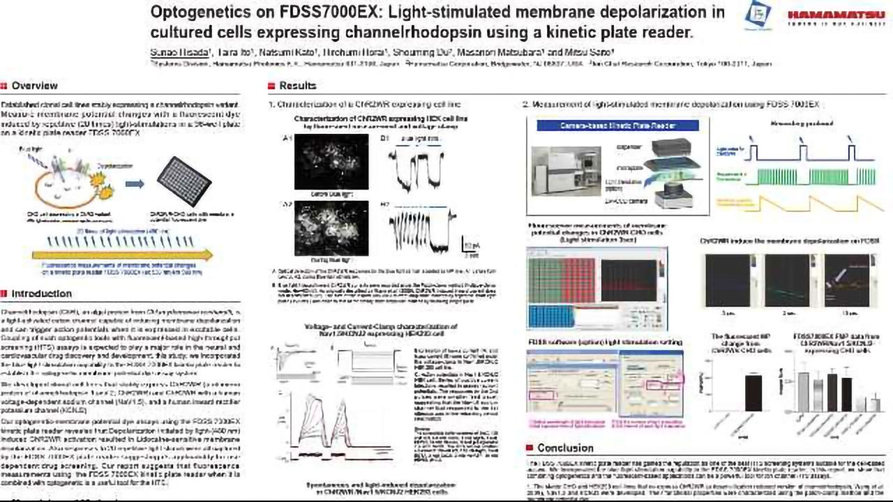 Optogenetics on FDSS7000EX: Light-stimulated membrane depolarization in cultured cells expressing channelrhodopsin using a kinetic plate reader