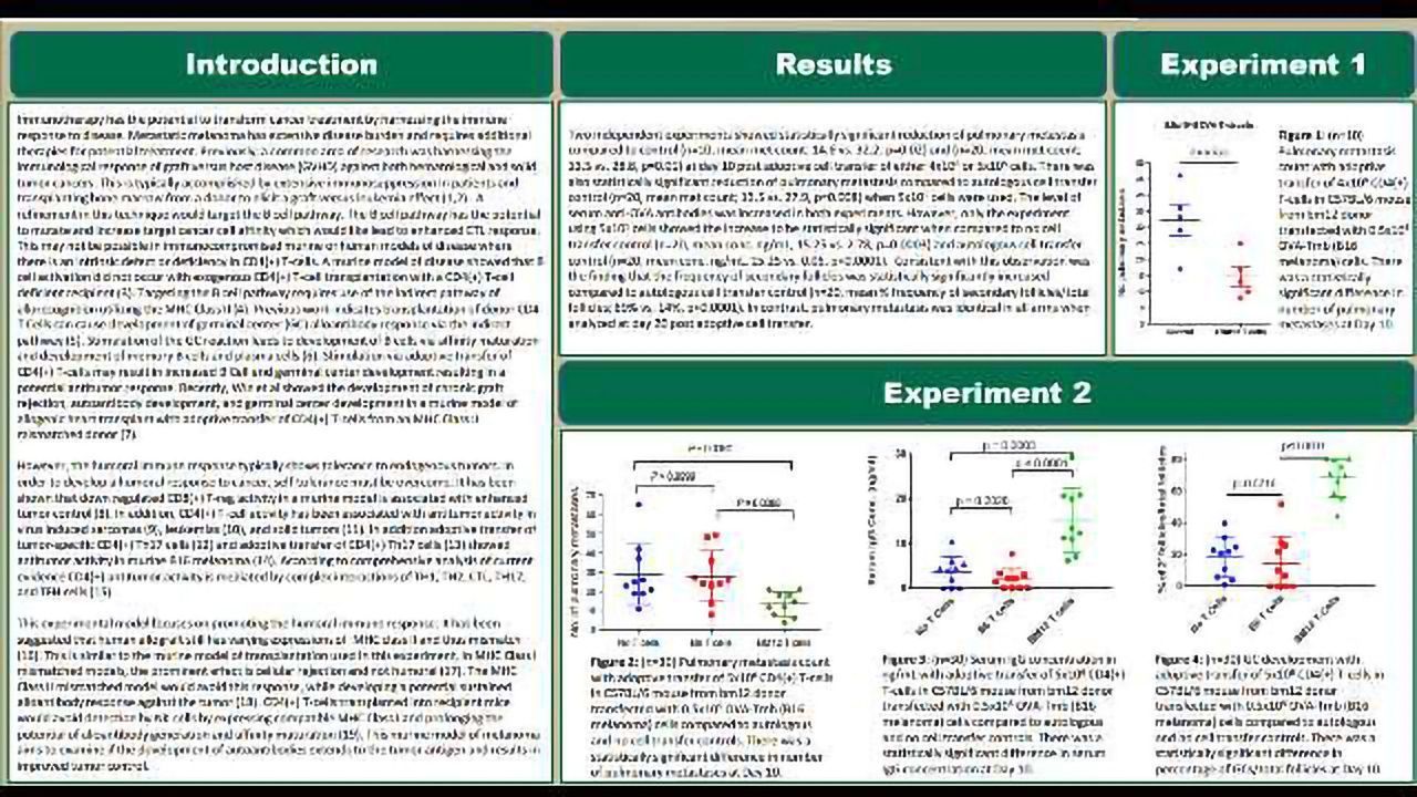 An Antitumor Antibody Response to Attenuate Metastatic Melanoma in a Murine Model