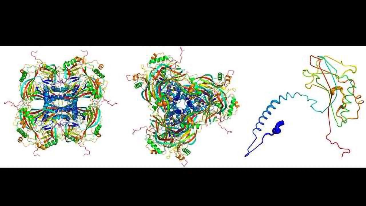 Scientists Analyse Smallest Ever Protein Crystals
