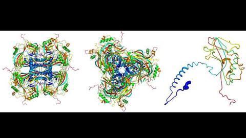 Scientists Analyse Smallest Ever Protein Crystals