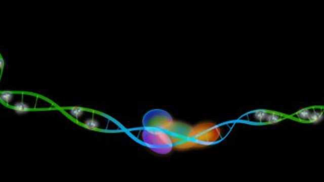 Finding Our Way Around DNA