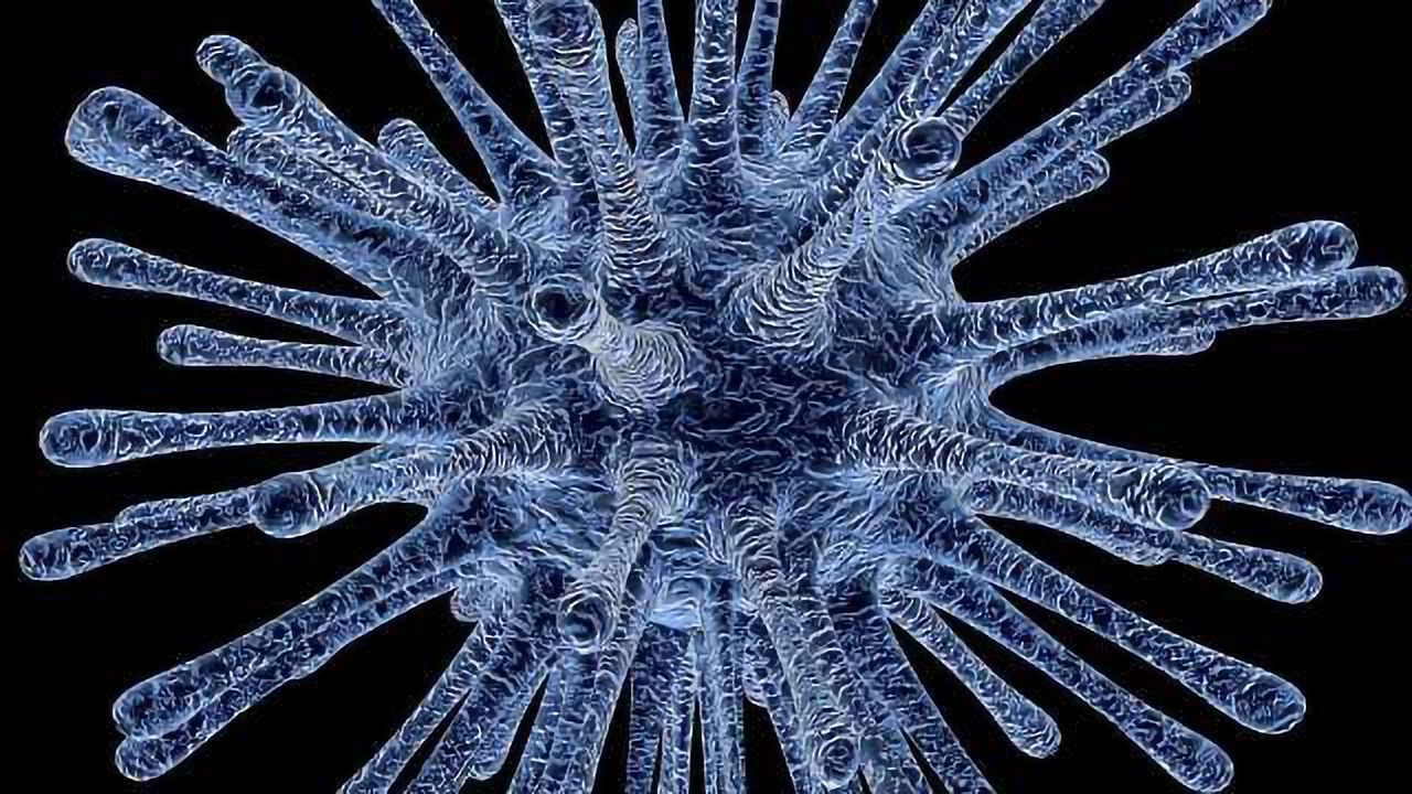 Novel High-Throughput Screening Assay For HPV Treatment