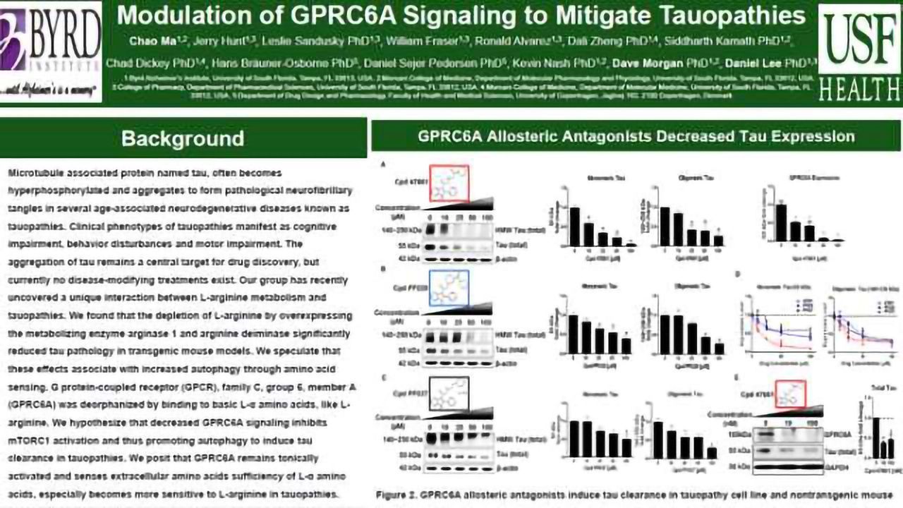 Modulation of GPRC6A Signaling to Mitigate Tauopathies