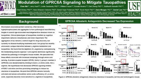 Modulation of GPRC6A Signaling to Mitigate Tauopathies