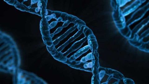 Oxford Genetics Receives $500,000 in Innovate UK Funding