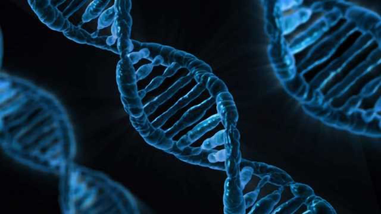 With Stringent Oversight, Heritable Germline Editing Could be Allowed