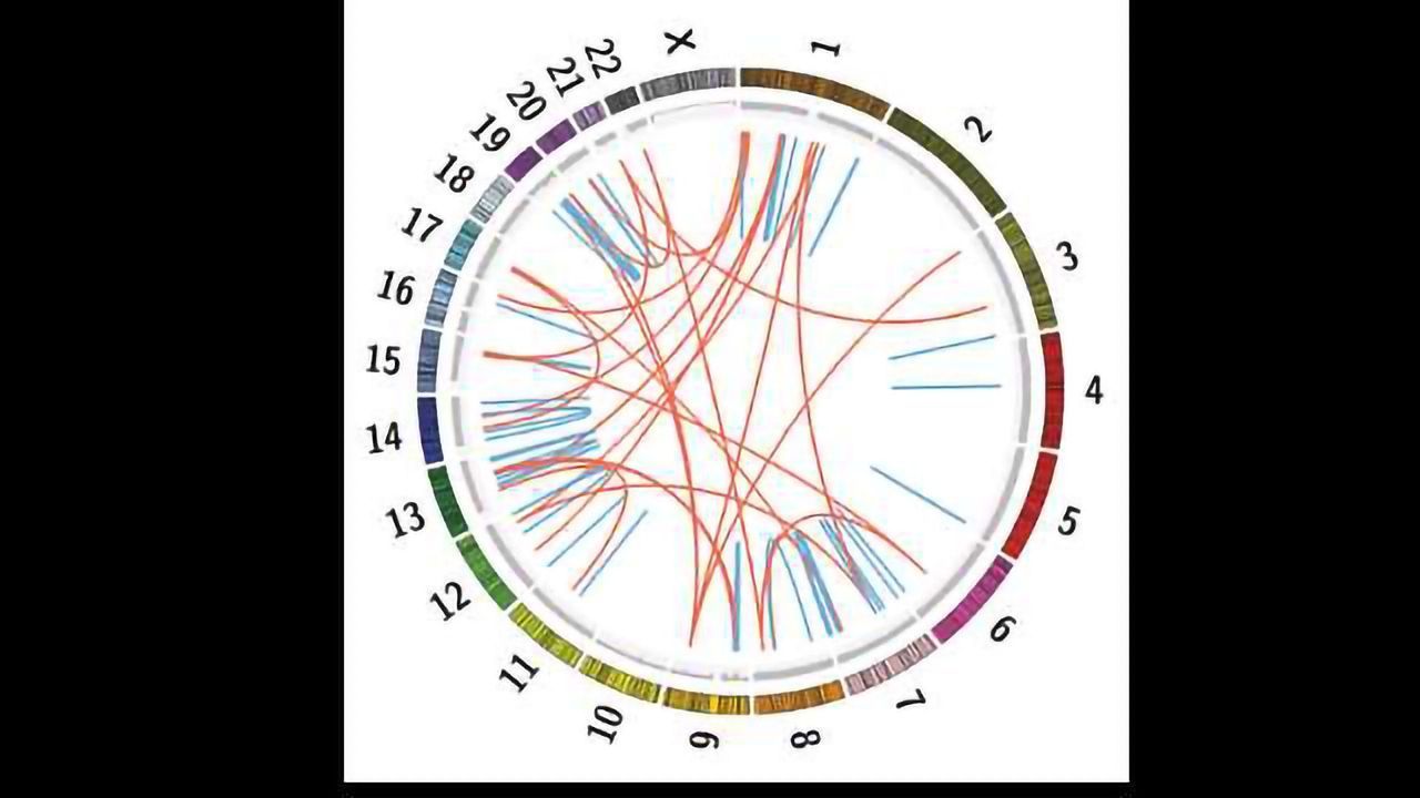 Molecular Profiling of Recurring Cancer Yields Success