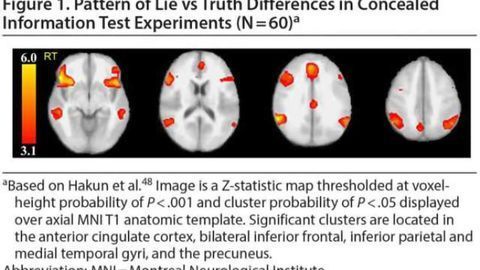 Illuminating lies with brain scan outshines polygraph test, study finds