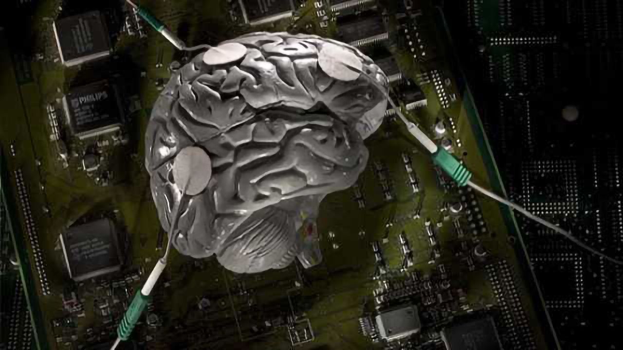 Pop-outs: How the brain extracts meaning from noise