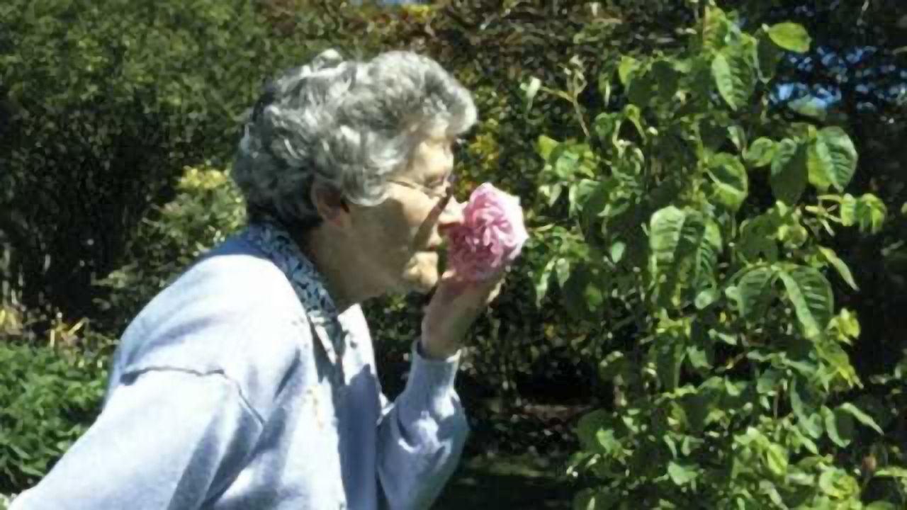 Inability to recognize and recall odors may identify those at risk for Alzheimer's disease