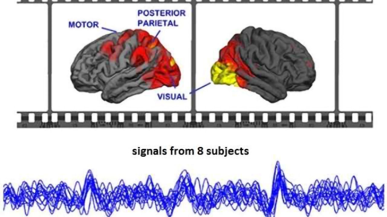Movies synchronize brains