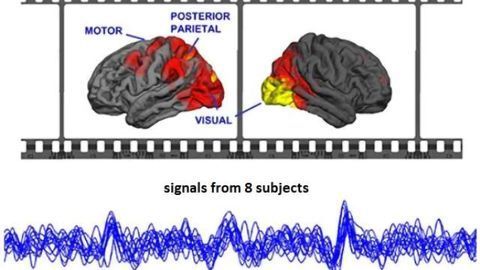 Movies synchronize brains