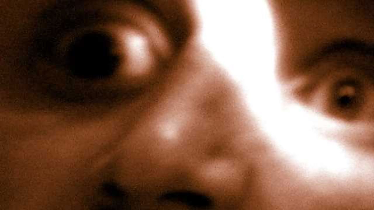 Brain circuits involved in emotion discovered