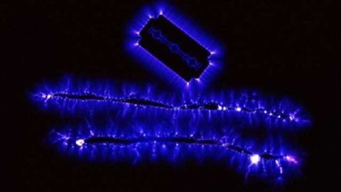 Novel compound halts cocaine addiction and relapse behaviors