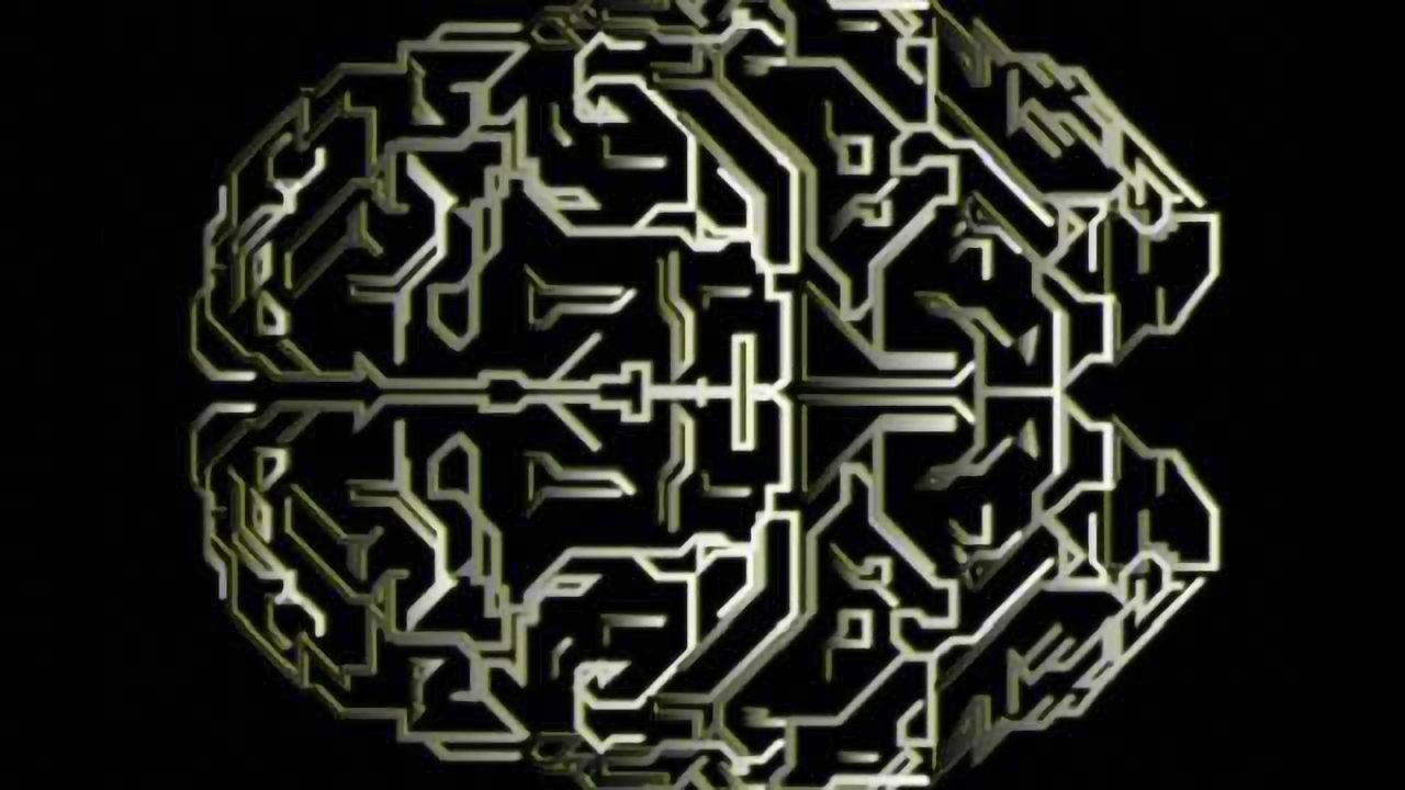 Bioengineers create circuit board modeled on the human brain