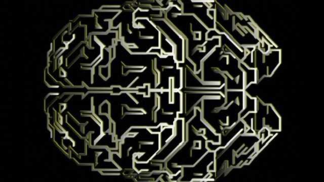 Bioengineers create circuit board modeled on the human brain