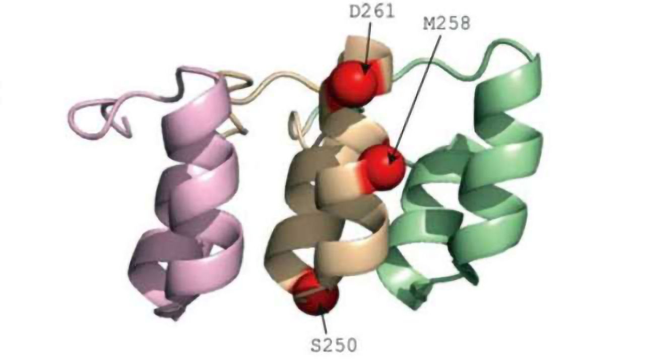 Small Mutation Changes Brain Freeze to Hot Foot