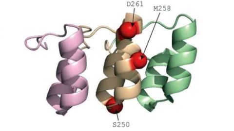 Small Mutation Changes Brain Freeze to Hot Foot