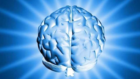 Anti-aging factor offers brain boost too