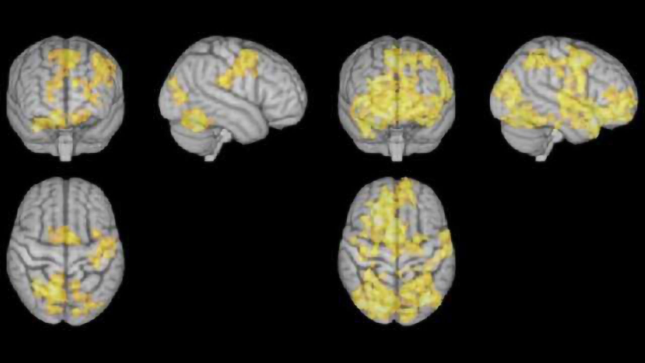 How the brain works during meditation