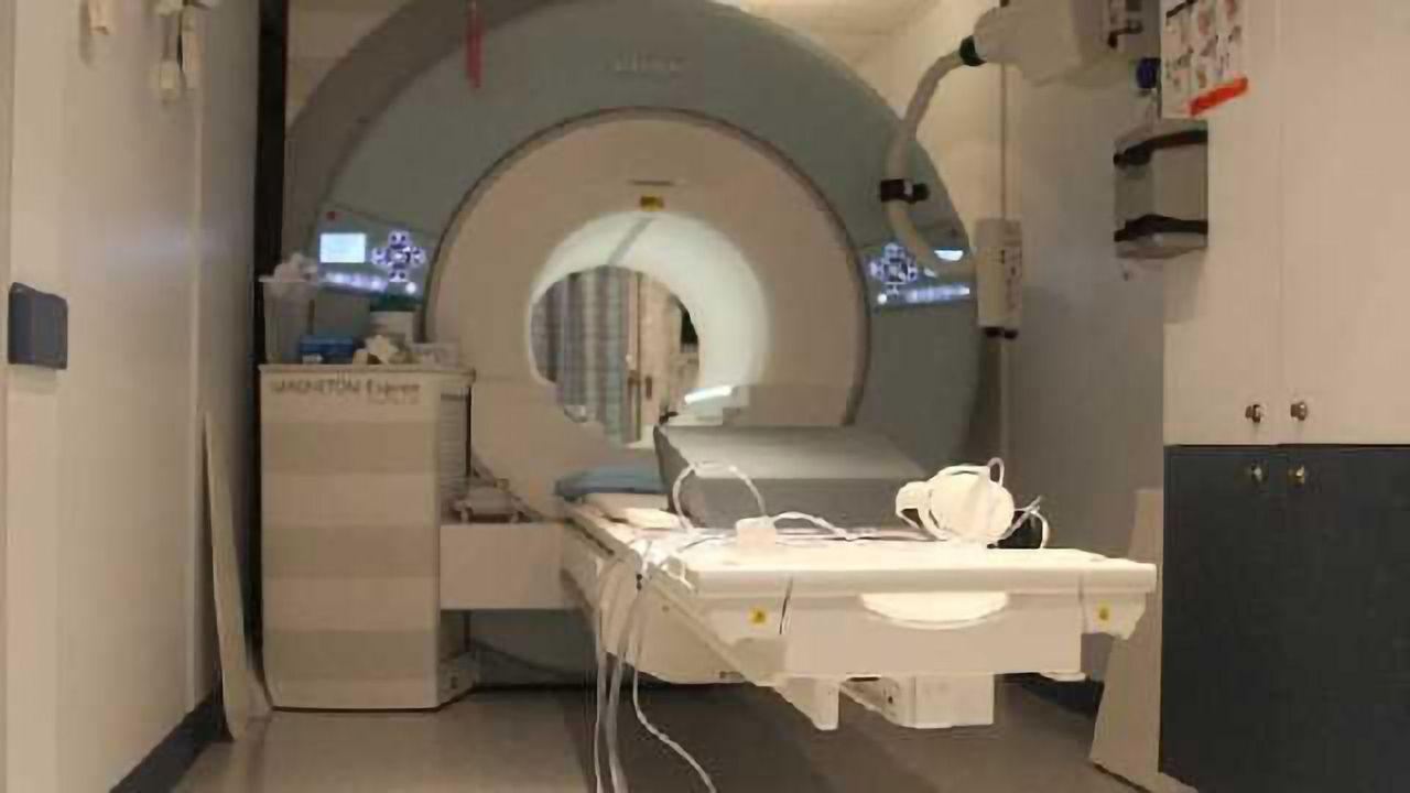 Training brain patterns of empathy using functional brain imaging