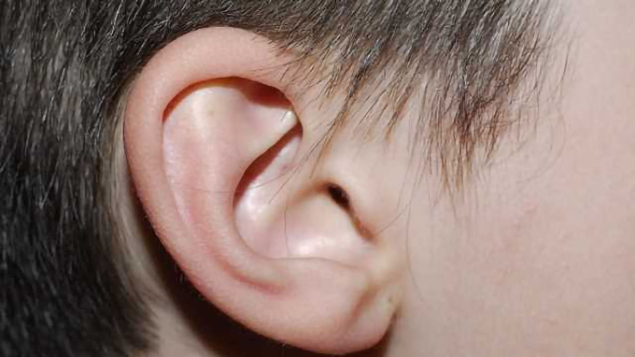 Sound and vision: Visual cortex processes auditory information too