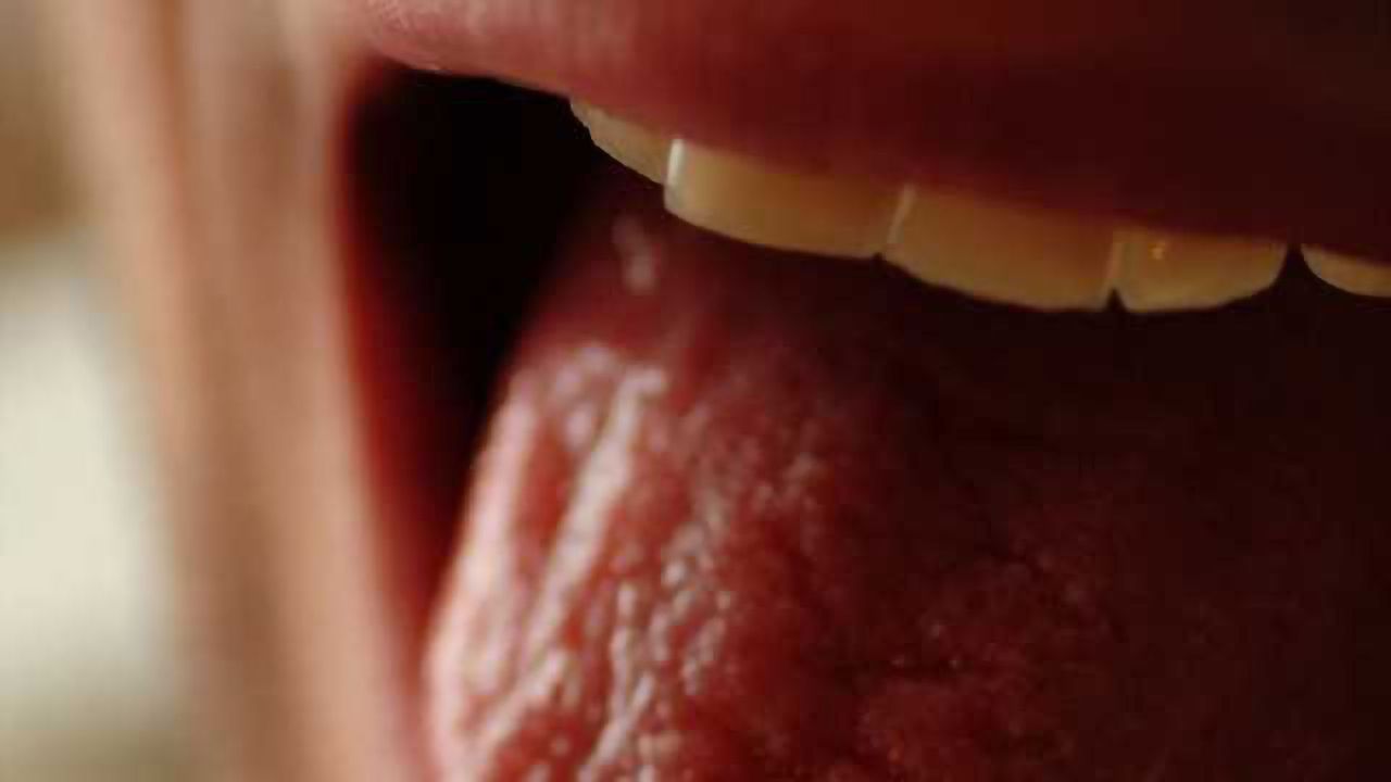 Stress hormone receptors localized in sweet taste cells