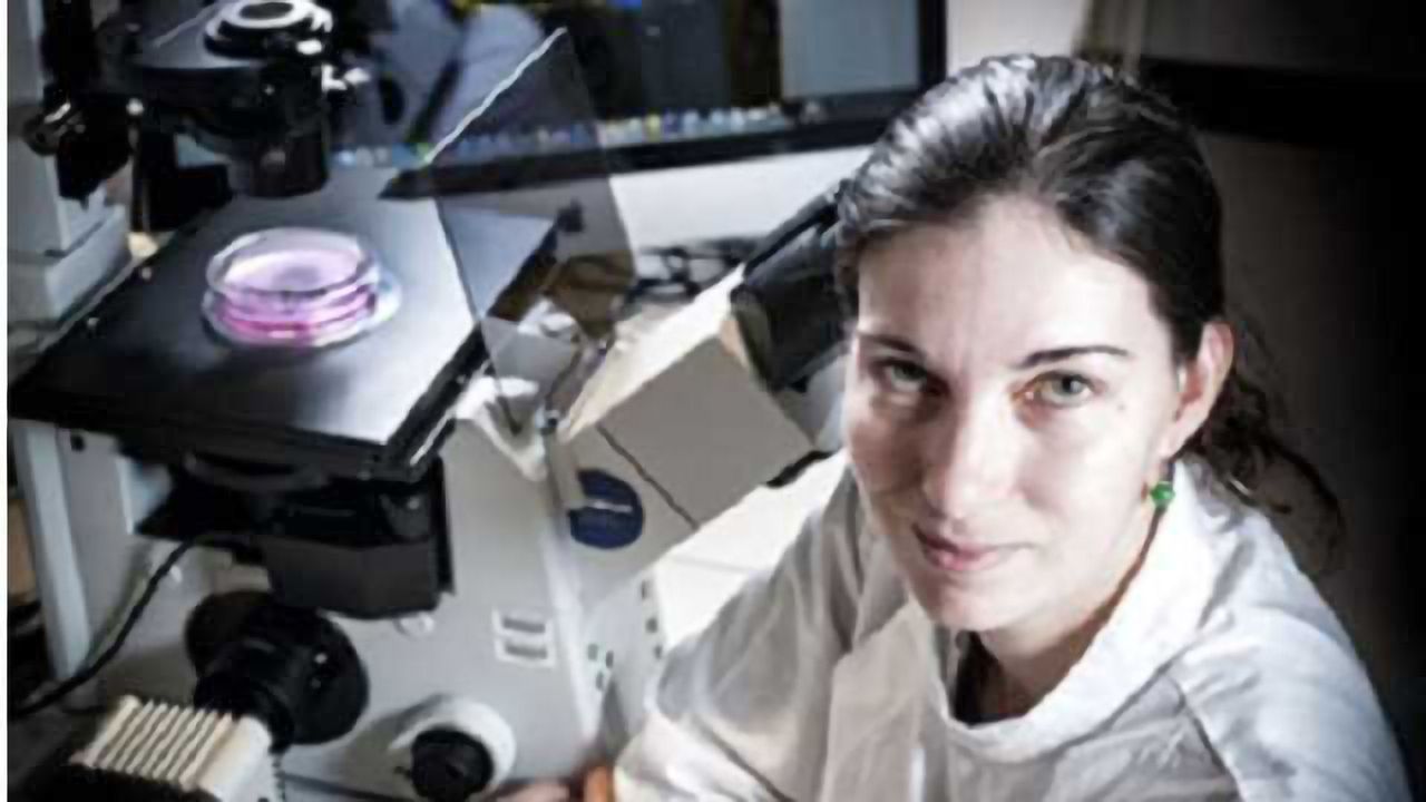 Unlocking the potential of stem cells to repair brain damage