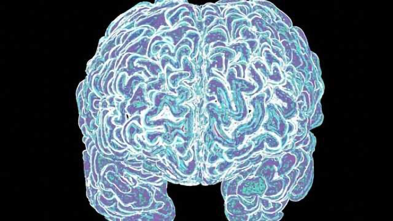 Transplanted Fetal Stem Cells for Parkinson's Show Promise