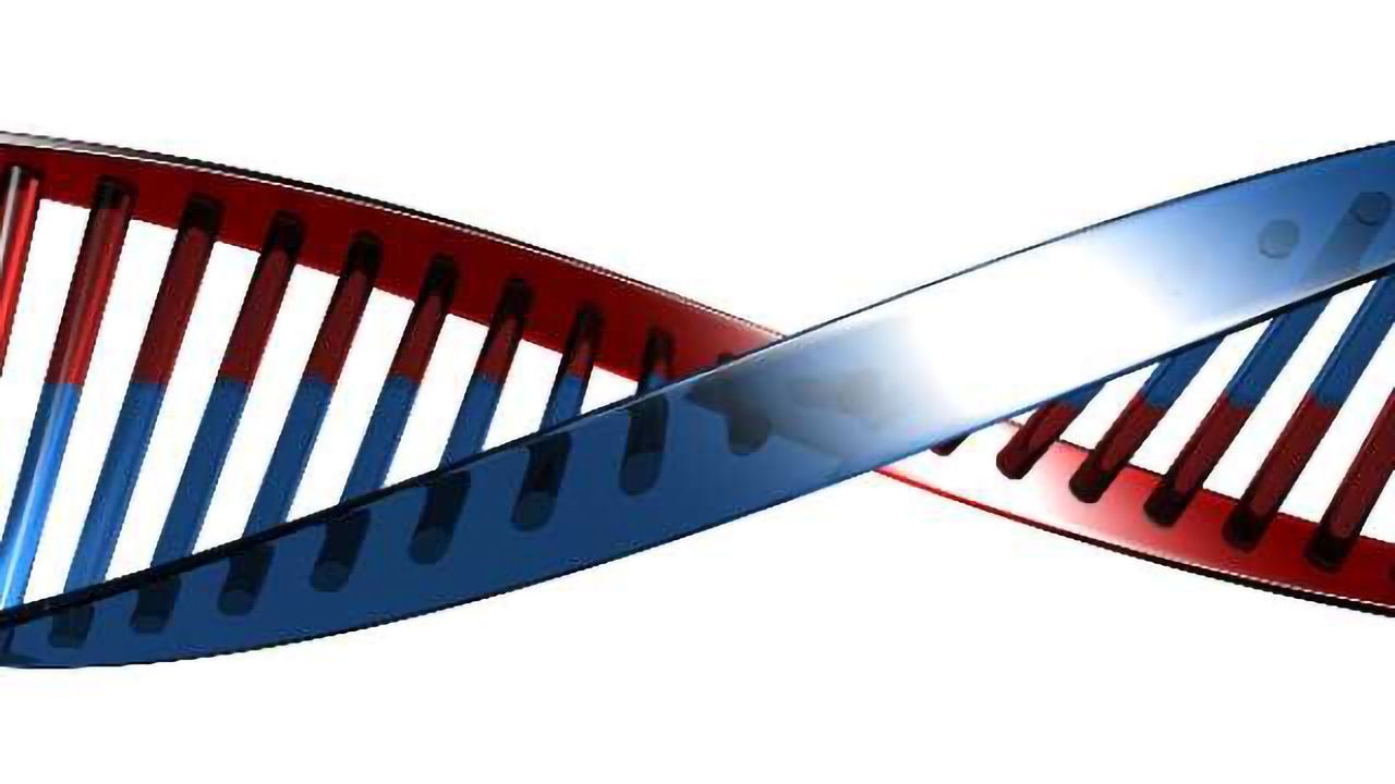 Three Gene Networks Discovered in Autism, May Present Treatment Targets
