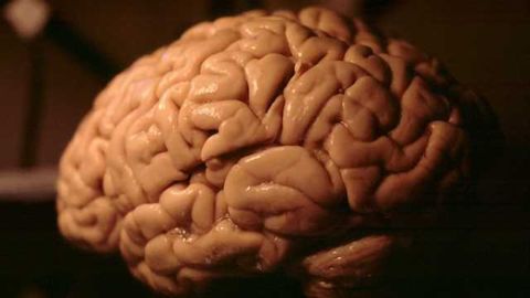 A tiny molecule may help battle depression