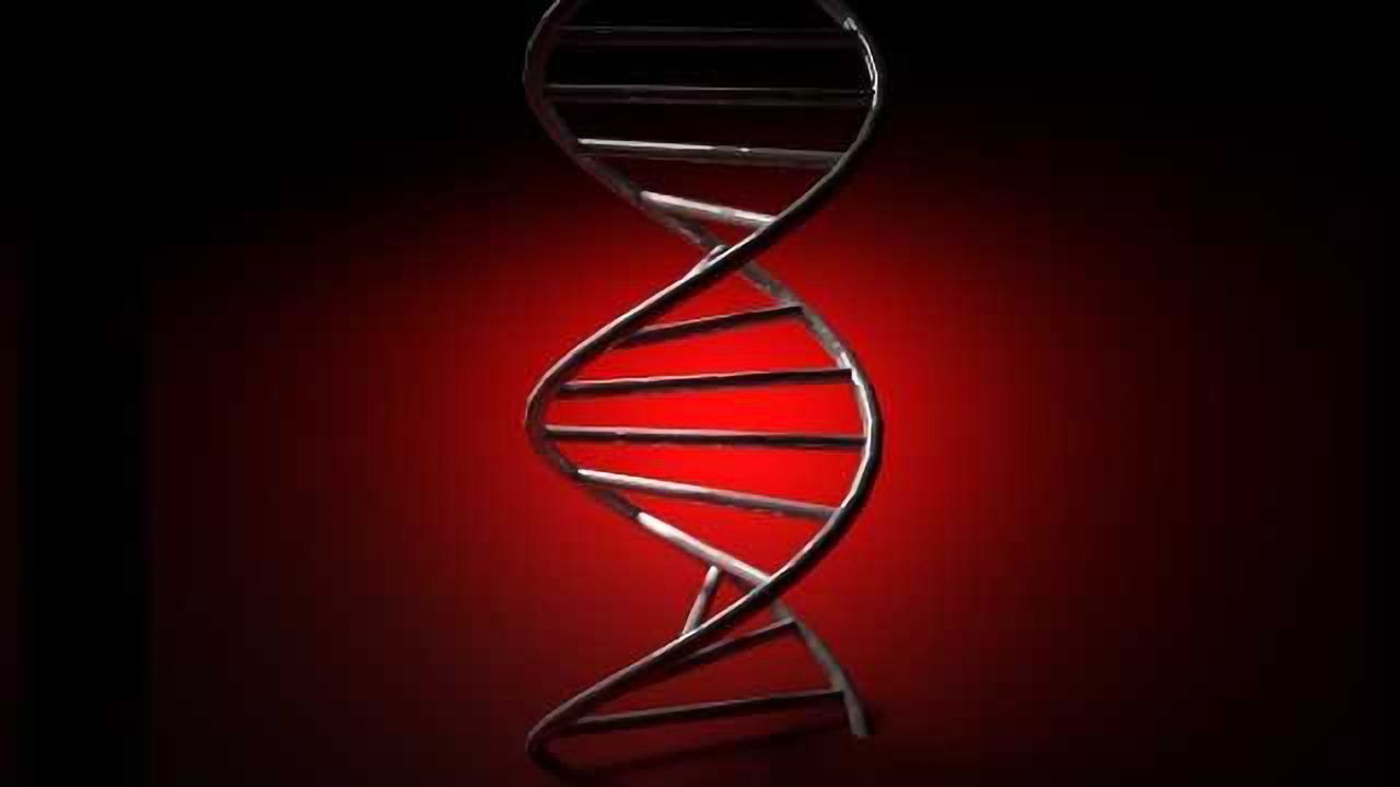 Specific gene linked to adult growth of brain cells, learning and memory
