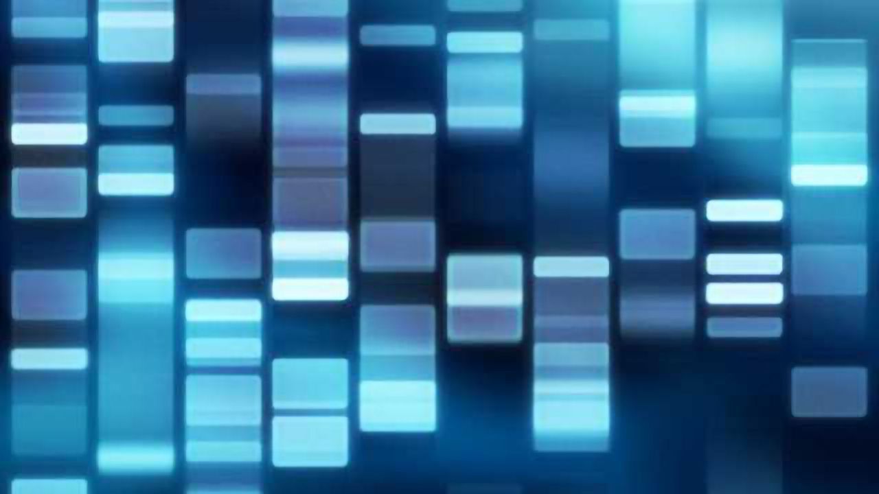 Genetic brain disorder in humans discovered