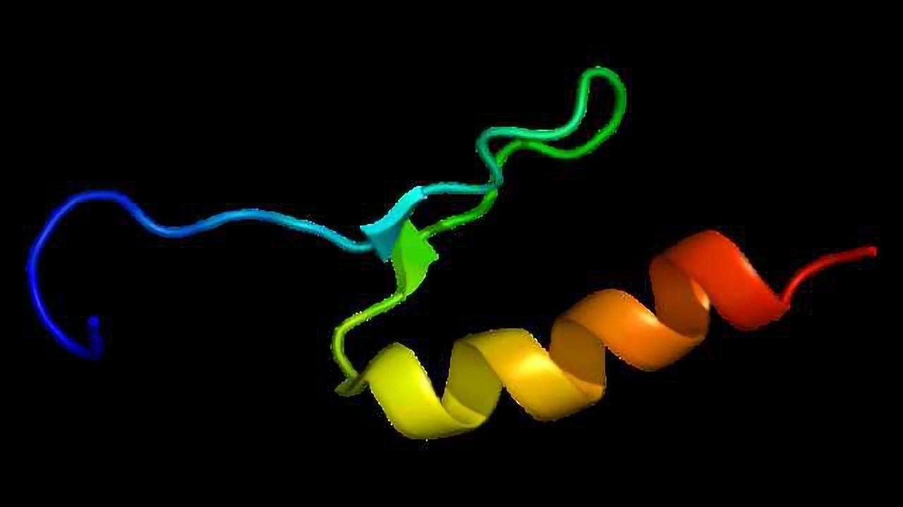 Regulation Process of Protein Linked to Bipolar Disorder Identified