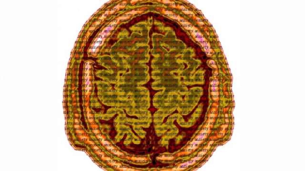 MicroRNA could help diagnose and treat mental disorders