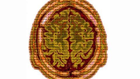 MicroRNA could help diagnose and treat mental disorders