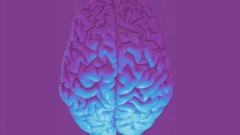 New form of brain signaling affects addiction-related behavior