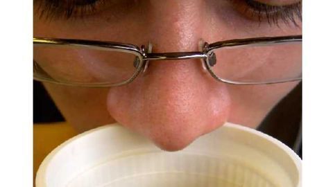 Decoding characteristic food odors
